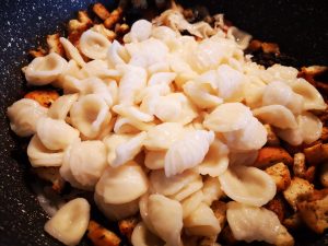 Orecchiette ai pomodori secchi e caciotta dolce