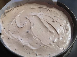 Cheesecake alla nutella e gocce di cioccolato