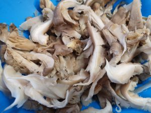 Terrina di funghi pleurotus